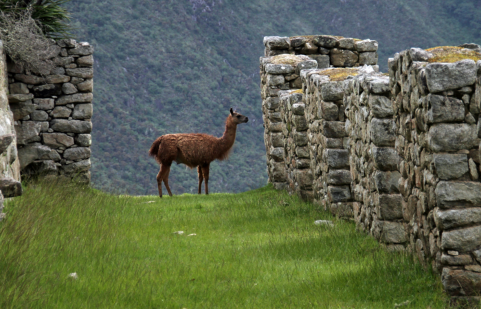 ATMs in Peru