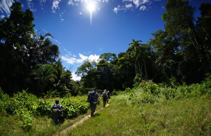 Hike in the rainforest