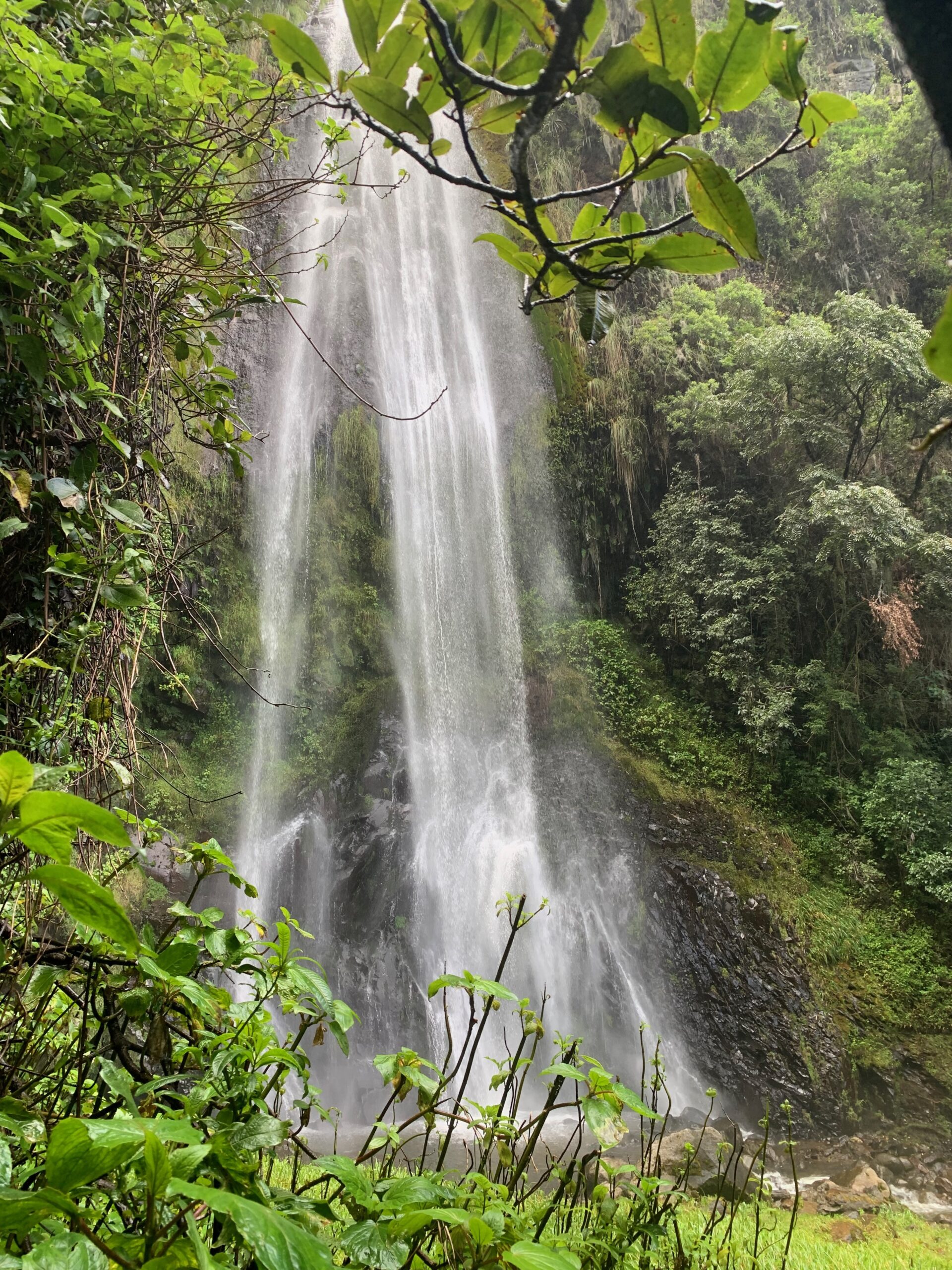 Ecuador's Secrets