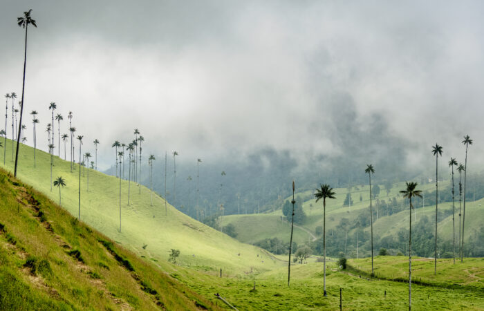reasons why visit colombia