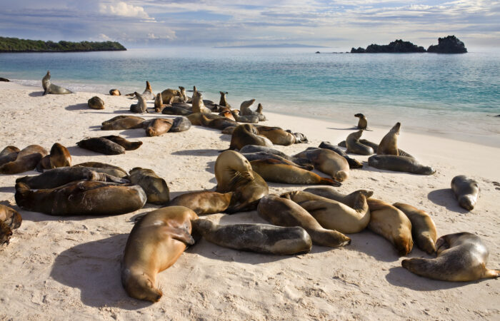 Galapagos archipelago