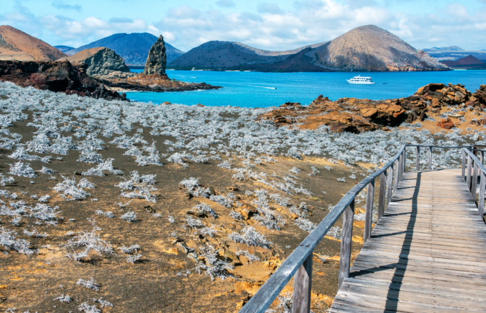 Things not to bring to Galapagos