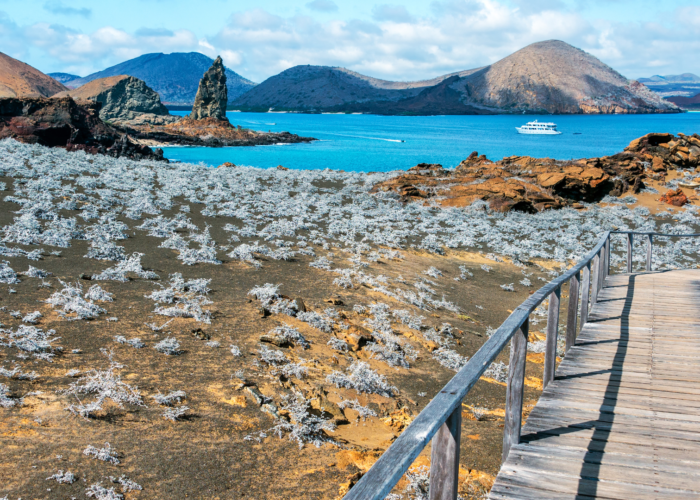 Things not to bring to Galapagos