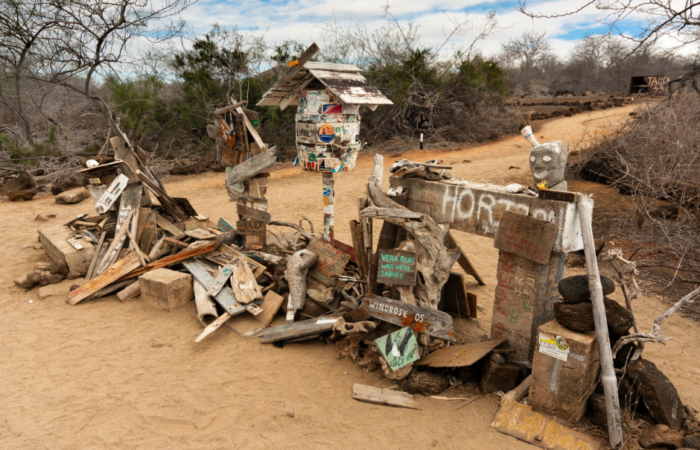 trips and cruises in Galapagos