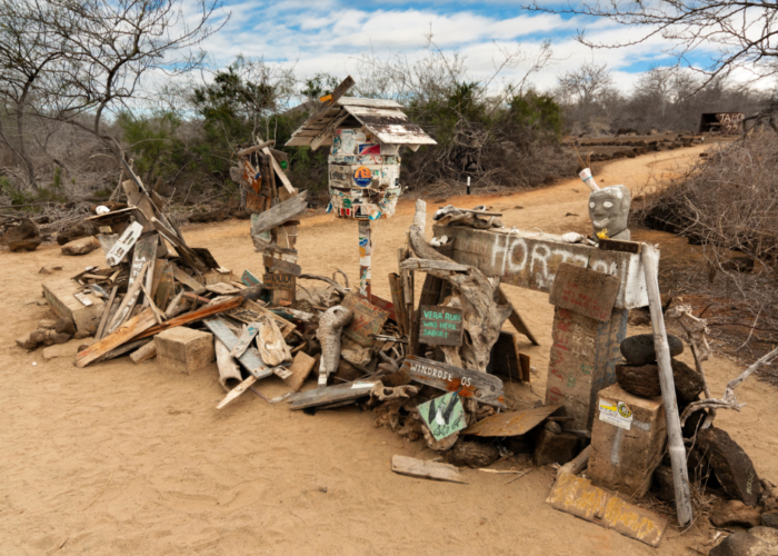 trips and cruises in Galapagos