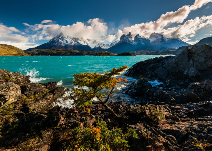chile