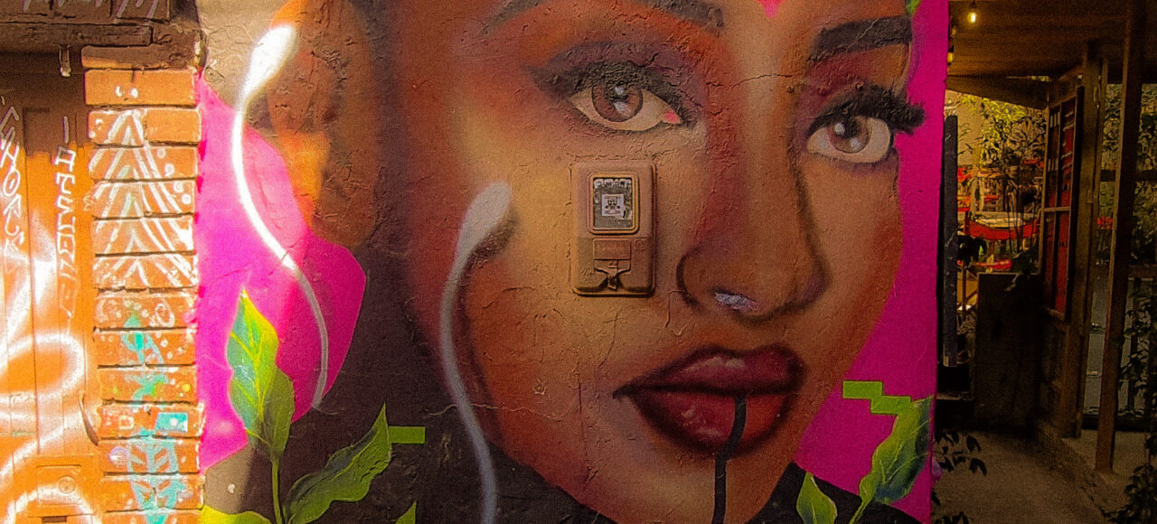 Graffitti from Calle El Embudo, La Candelaria. Bogota.