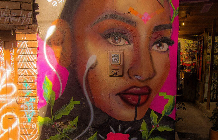 Graffitti from Calle El Embudo, La Candelaria. Bogota.