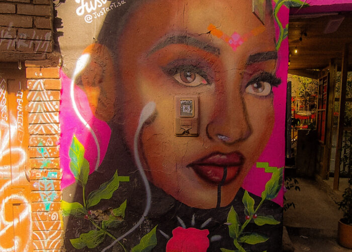 Graffitti from Calle El Embudo, La Candelaria. Bogota.