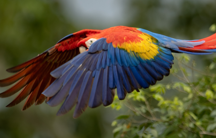 Destination Costa Rica