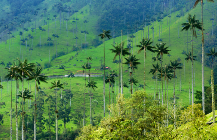 Destination Colombia