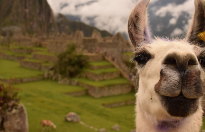 destination peru