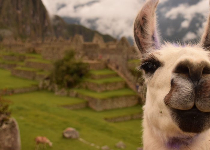 destination peru