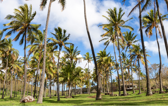 isla de pascua