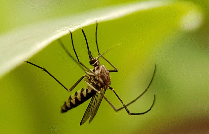 Amazon Ecuador