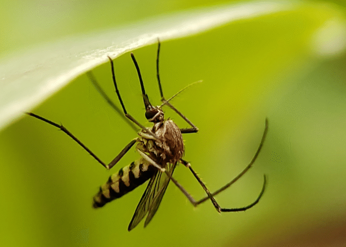 Amazon Ecuador