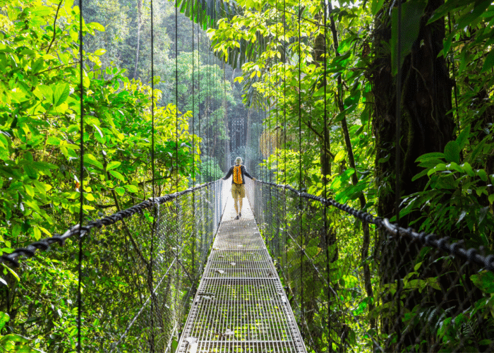 Costa Rica national park entrance rules fines 2025