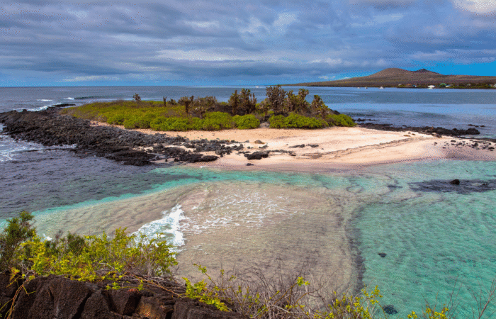 Galapagos Affair