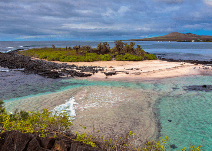 Galapagos Affair