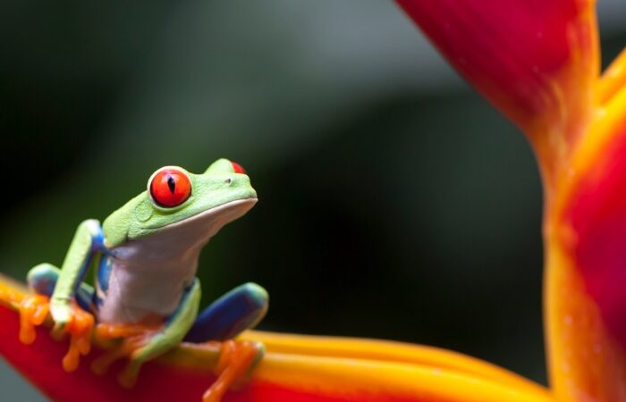 Costa Rica