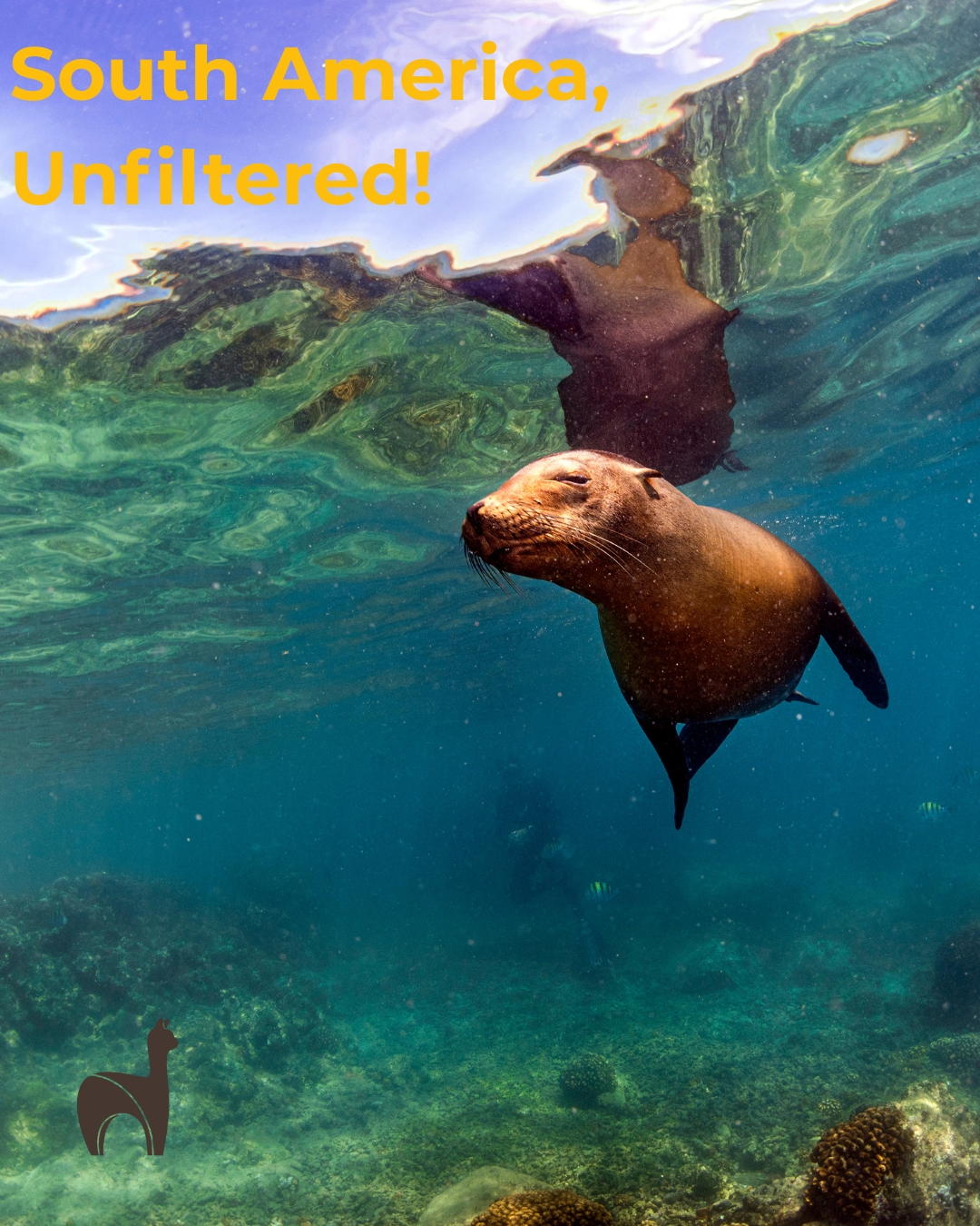 terrasurtravels.com