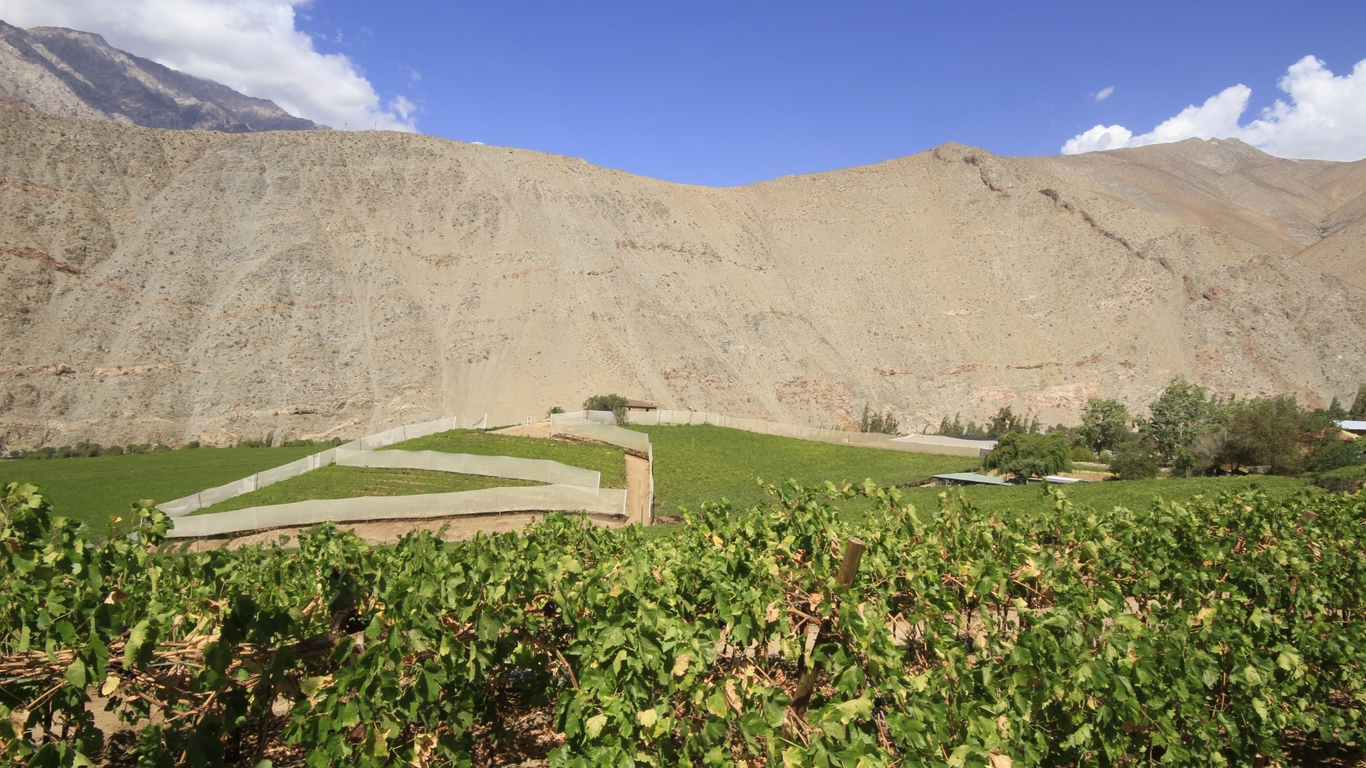 atacama