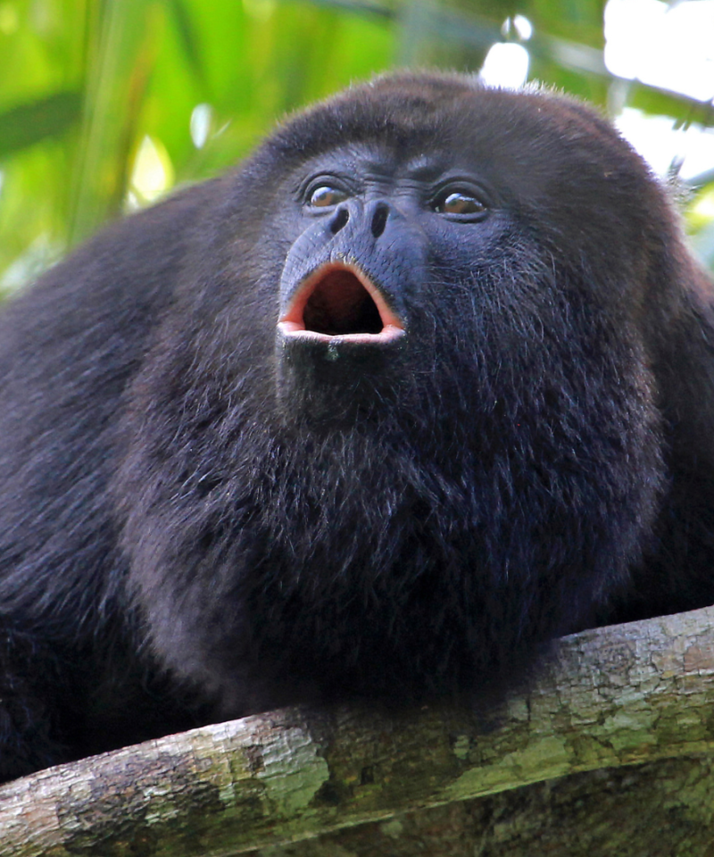 ecuador