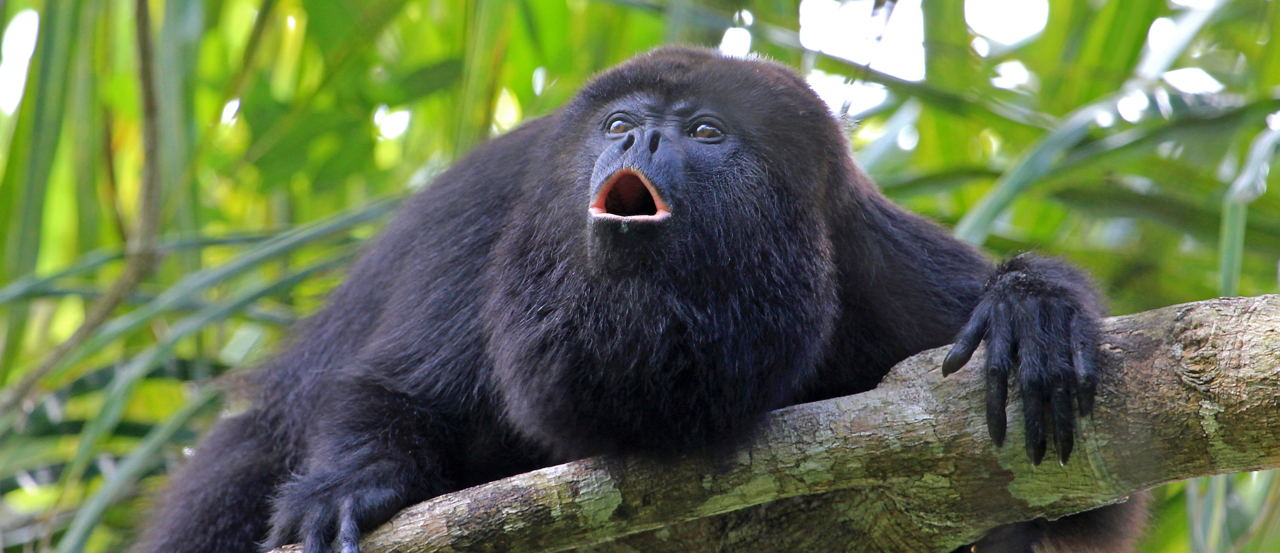 ecuador