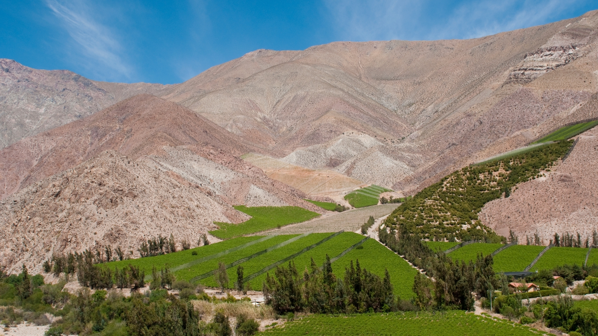 elqui