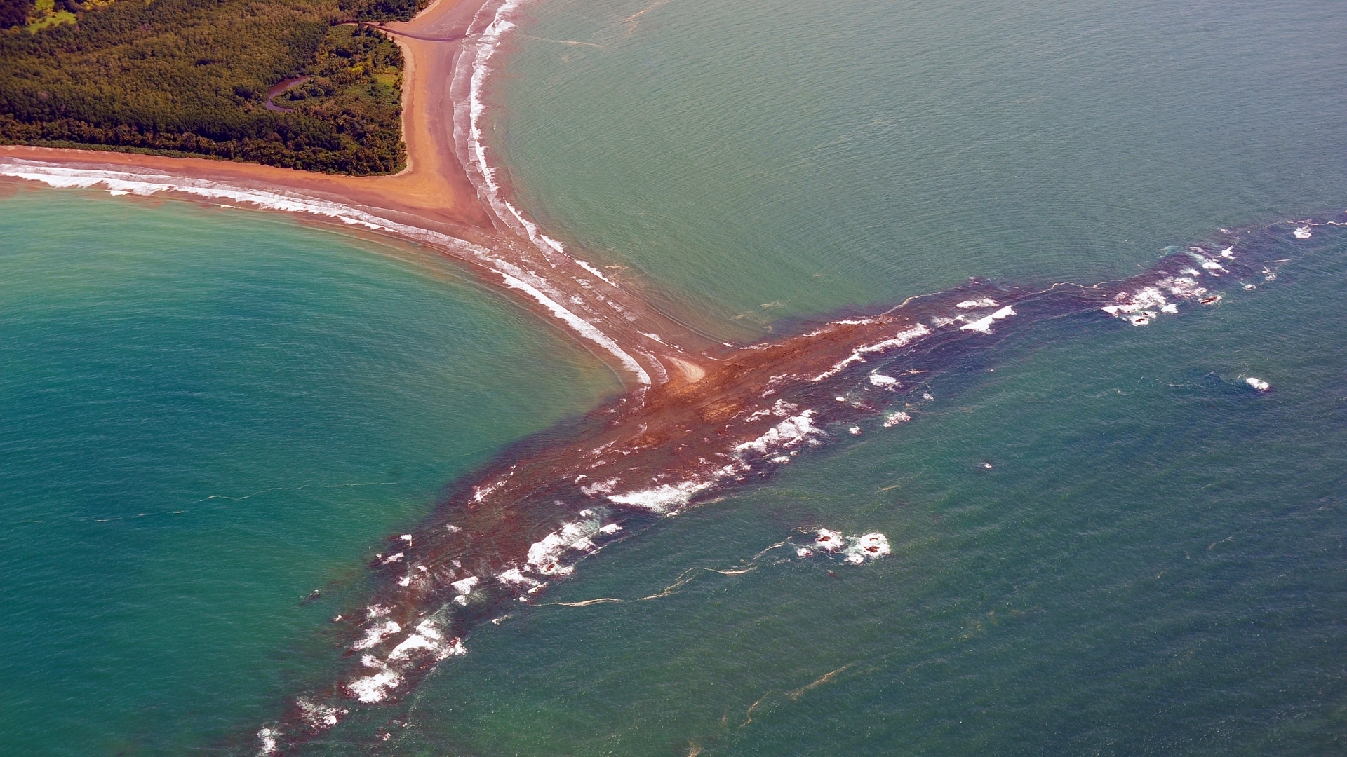 Whale's Tail